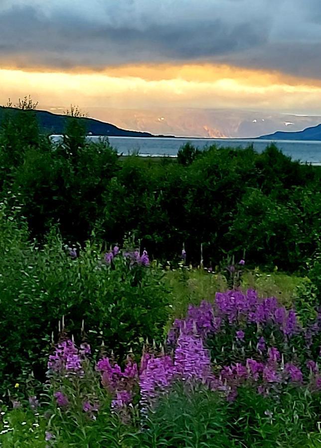 Austertanakrystallen By Pure Lifestyle Arctic Экстерьер фото