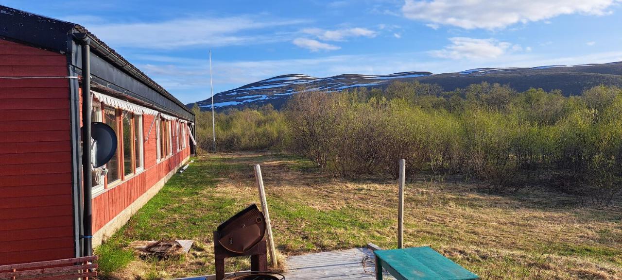 Austertanakrystallen By Pure Lifestyle Arctic Экстерьер фото